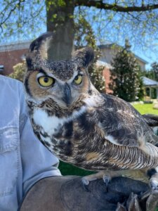 KCOF Spring Fling Outdoor Event