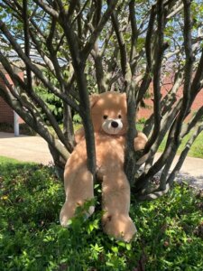 KCOF Spring Fling Outdoor Event