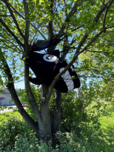 KCOF Spring Fling Outdoor Event