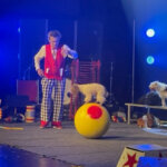 JOHNNY PEERS & THE MUTTVILLE COMIX - Kathy's Circle of Friends