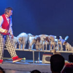 JOHNNY PEERS & THE MUTTVILLE COMIX - Kathy's Circle of Friends