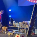 JOHNNY PEERS & THE MUTTVILLE COMIX - Kathy's Circle of Friends