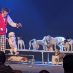 JOHNNY PEERS & THE MUTTVILLE COMIX - Kathy's Circle of Friends